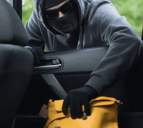 thief grabbing purse from car